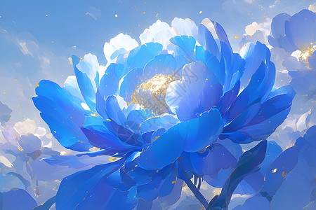 清新的蓝色花卉背景图片