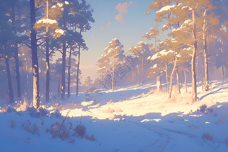 林中蜿蜒的雪地小道高清图片