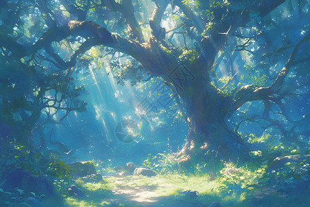 树阳光魔幻森林中的树插画