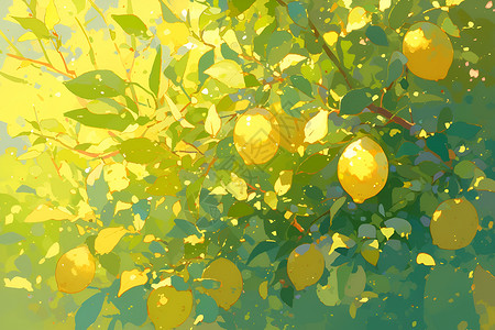 树枝上的柠檬背景图片