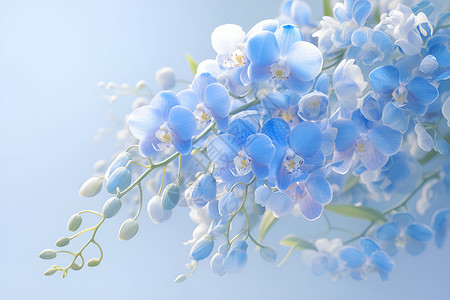 蓝色清新花朵清新蓝色兰花束插画