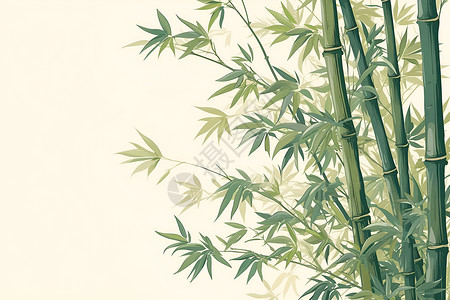 竹子的唯美插画背景图片