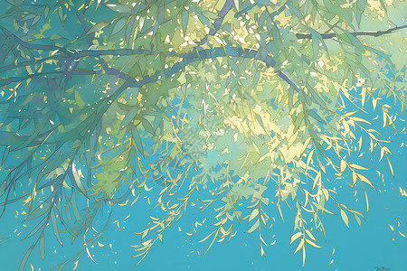 柳树树枝背景图片
