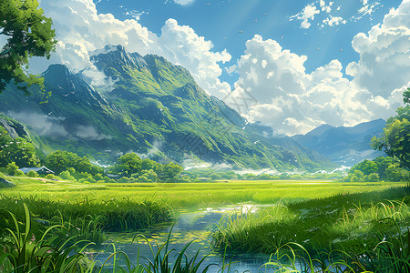 山脉中的绿色稻田高清图片