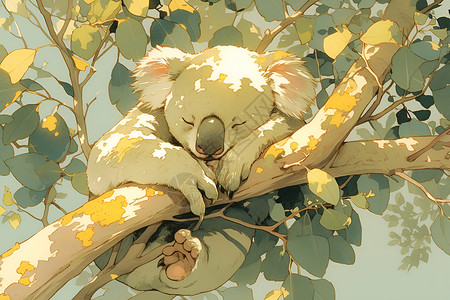 桉树树枝自然界的树袋熊插画