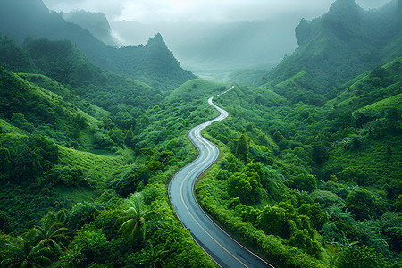 航拍森林道路汽车驶过蜿蜒的道路插画