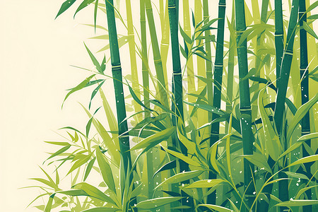 青翠的竹子插画背景图片