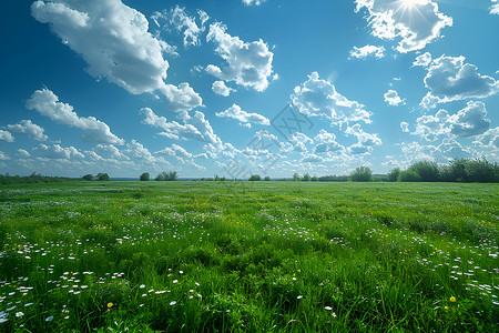 野花草原天空一望无际的草原背景