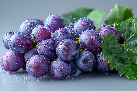 水滴结满的紫葡萄背景图片