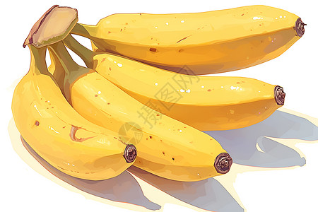 香蕉的细致清晰纹理插画