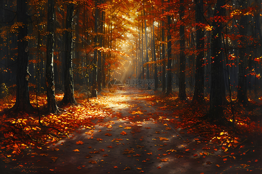 秋日魔幻阳光与树影图片