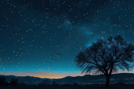乌云夜空星空下的树木背景