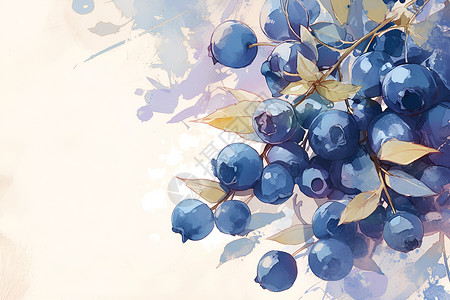 可口蓝莓成熟的水果蓝莓插画