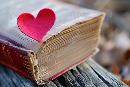 爱心形一书本上的心形书签背景