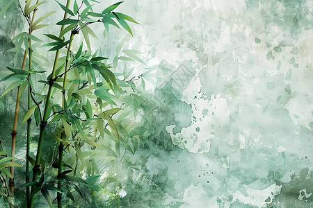翠绿竹影竹子叶子素材高清图片
