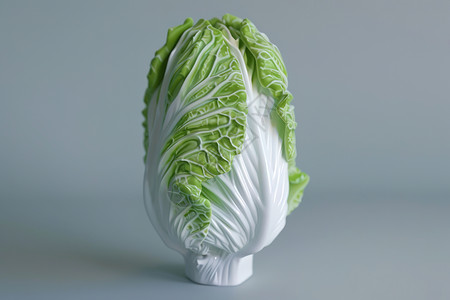 白菜素材翠绿的卷心菜设计图片