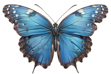 美丽蝴蝶飞舞的蓝色蝴蝶插画