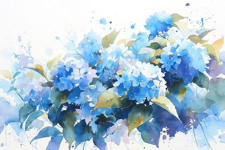 蓝色的绣球花高清图片