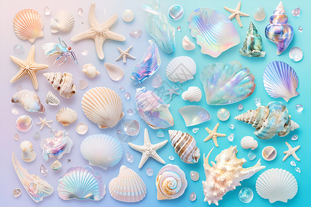 贝壳币沙滩上的贝壳海星插画