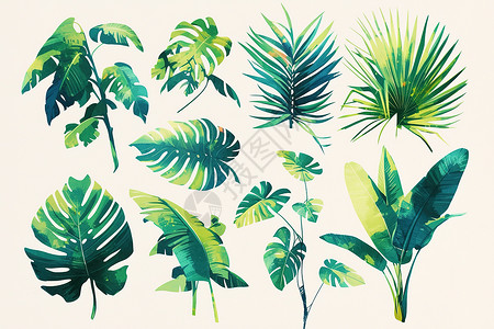 棕榈卷心菜翠绿的叶子插画