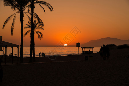 棕榈树海滩日落时的剪影马拉加,安达卢西亚,西牙棕榈树海滩日落时的轮廓图片