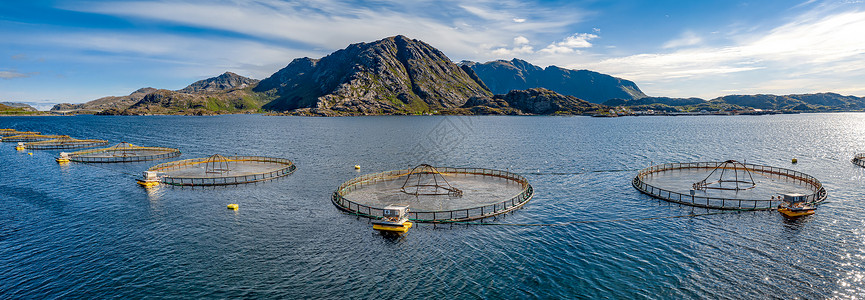 水产行业挪威鲑鱼养殖场背景