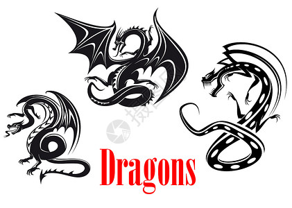 龙爪花部落风格的黑色危险龙用于纹身吉祥物或童话背景
