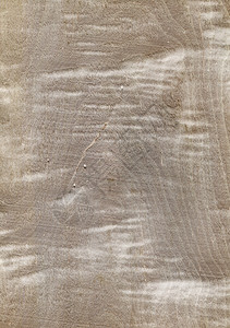 天然木制纹理背景西科莫尔木材高清图片