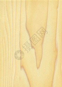 天然木制纹理背景杨木高清图片