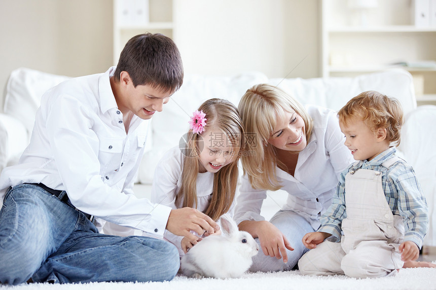 年轻的家庭家看兔子图片