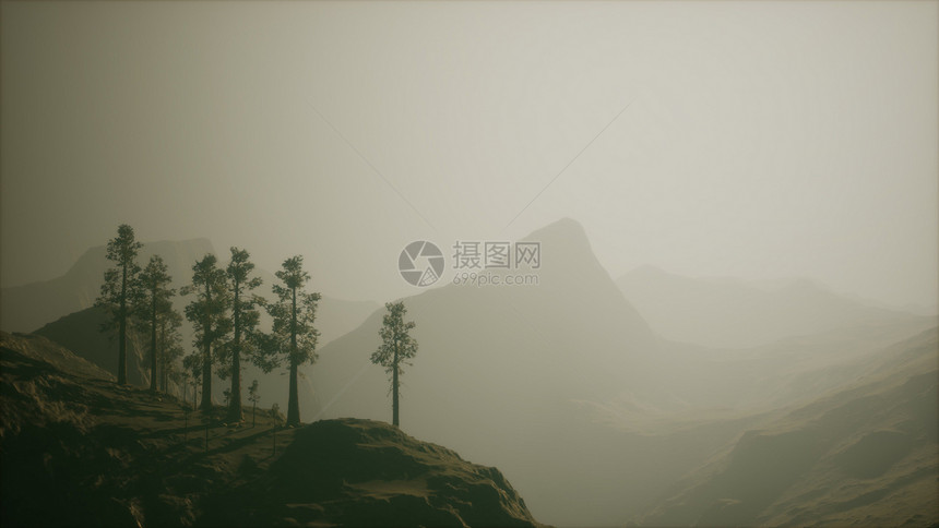 山坡上的薄雾森林图片