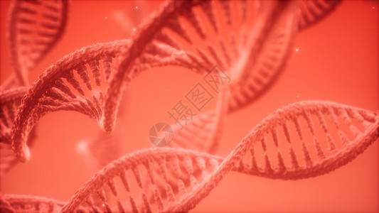 DNA双螺旋结构动画背景图片