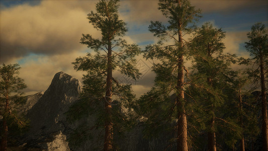 悬崖上有树阳光背景图片