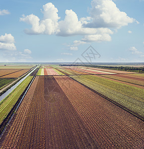 五颜六色的农田的鸟瞰图无人机射击背景图片