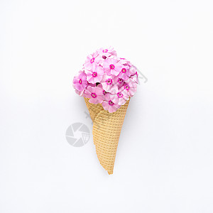 创意,静物,自然,绿色照片,鲜花盛开与食物,甜冰淇淋,华夫饼锥白色背景图片