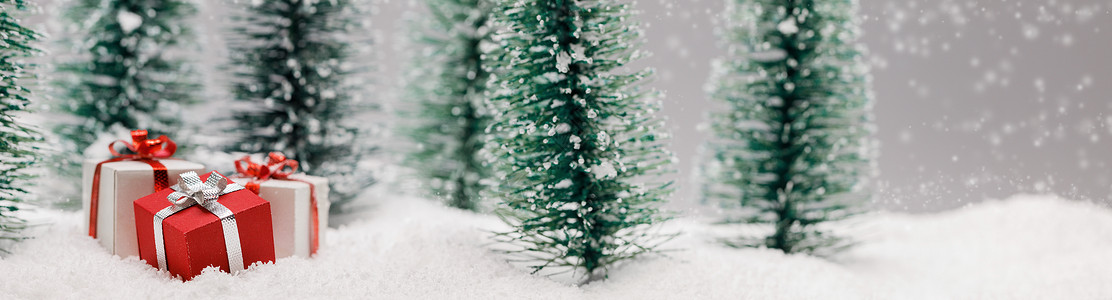 雪下杉树林的圣诞礼物森林里的圣诞礼物图片