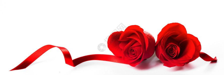 红玫瑰的心卷曲的丝带隔离白色背景情人节玫瑰的心背景图片