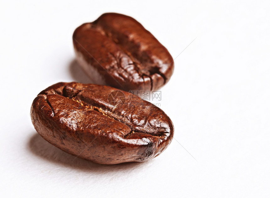 两个咖啡豆白色背景上图片