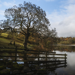 美丽的秋景湖日出柔的灯光英国乡村图片