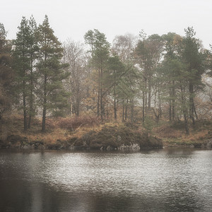 美丽的宁静秋落景观的林地湖泊与雾雾清晨图片