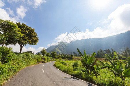 印度尼西亚爪哇岛的绿色热带景观图片