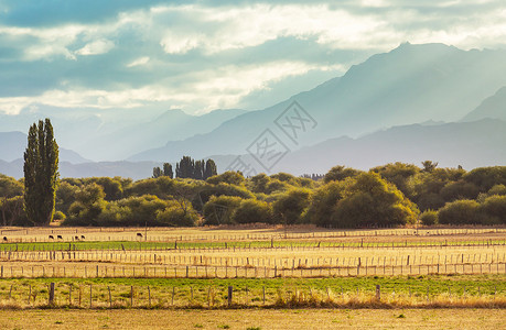 阿根廷山脉的乡村景观图片