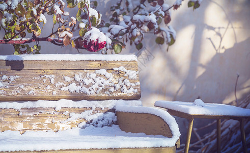 冬天花园里的长凳上飘着堆雪图片