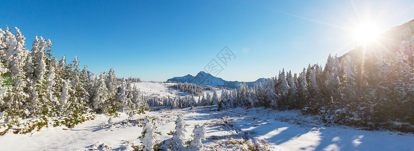 初冬,第次雪覆盖岩石森林冰川国家公园,蒙大,美国图片