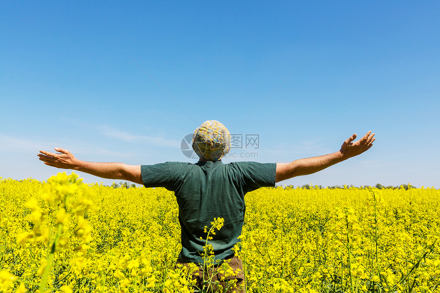 黄色田野里快乐的人图片