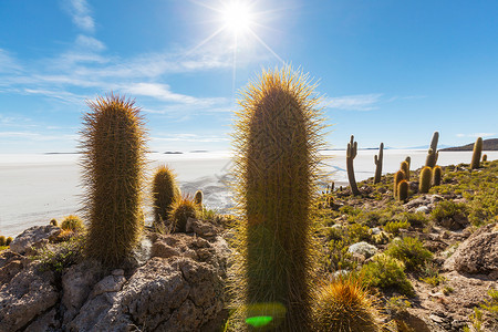 拉希安第斯山脉著名的高清图片