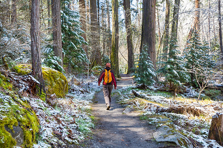 男人徒步旅行湾森林里的小径自然休闲徒步旅行户外图片