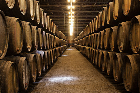 木桶理论古老的仓库里放了木制的黄褐色桶酒窖背景