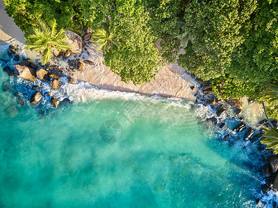 马埃海岸热带的青绿色高清图片
