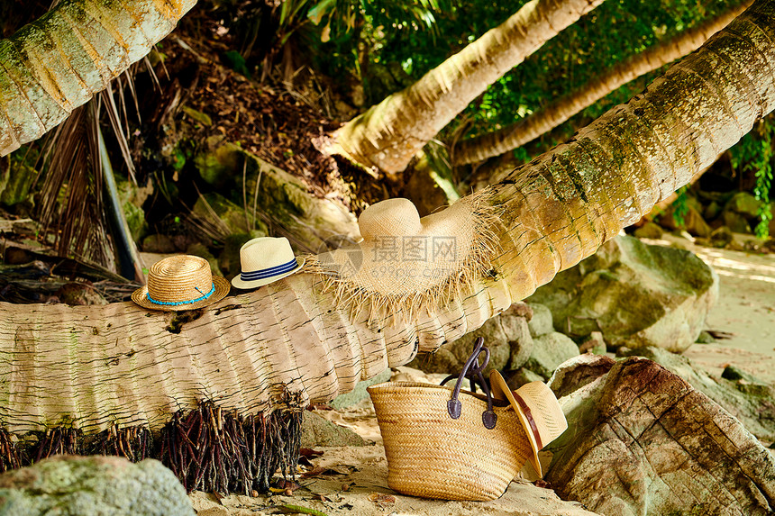 塞舌尔马赫的棕榈树海滩包帽子图片